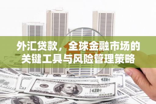 乌恰外汇贷款，全球金融市场的关键工具与风险管理策略