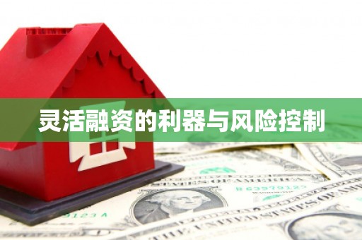 乌恰灵活融资的利器与风险控制