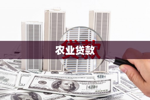 乌恰农业贷款