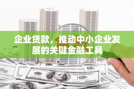 乌恰企业贷款，推动中小企业发展的关键金融工具