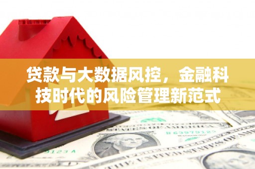 乌恰贷款与大数据风控，金融科技时代的风险管理新范式