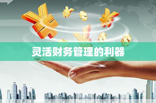 乌恰灵活财务管理的利器