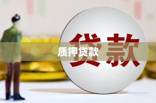 乌恰质押贷款