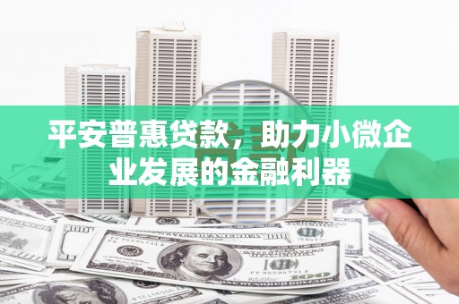 乌恰平安普惠贷款，助力小微企业发展的金融利器