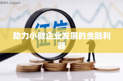 乌恰助力小微企业发展的金融利器