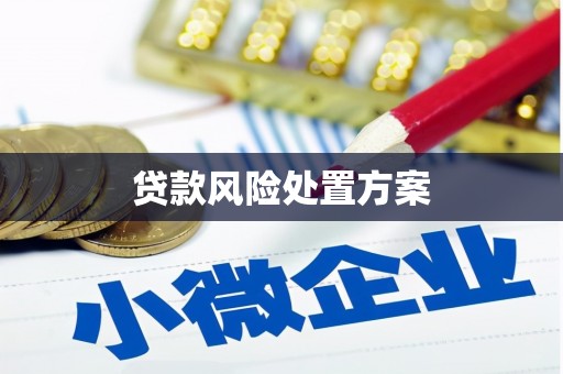 乌恰贷款风险处置方案