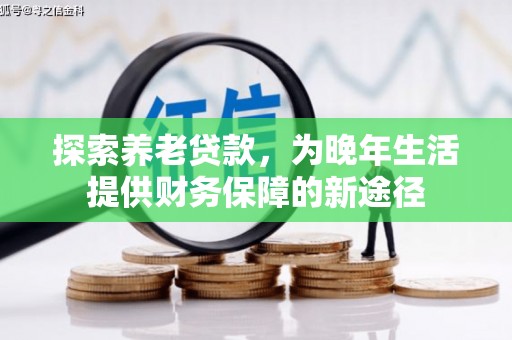乌恰探索养老贷款，为晚年生活提供财务保障的新途径
