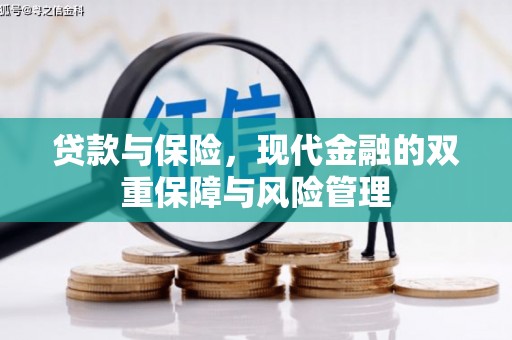 乌恰贷款与保险，现代金融的双重保障与风险管理