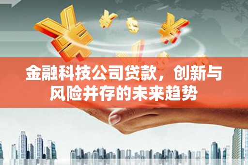 乌恰金融科技公司贷款，创新与风险并存的未来趋势