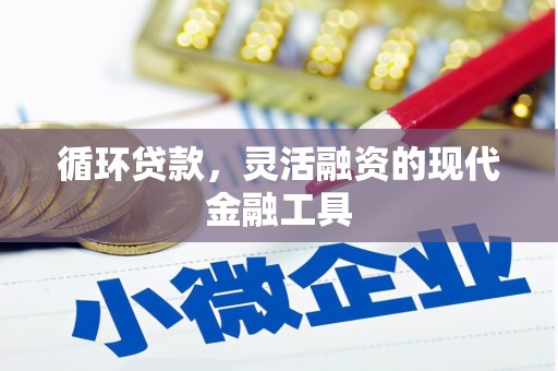 乌恰循环贷款，灵活融资的现代金融工具