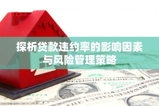 乌恰探析贷款违约率的影响因素与风险管理策略