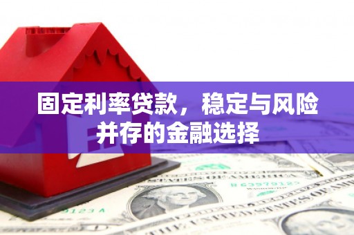乌恰固定利率贷款，稳定与风险并存的金融选择