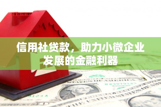 乌恰信用社贷款，助力小微企业发展的金融利器