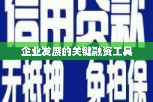 乌恰企业发展的关键融资工具