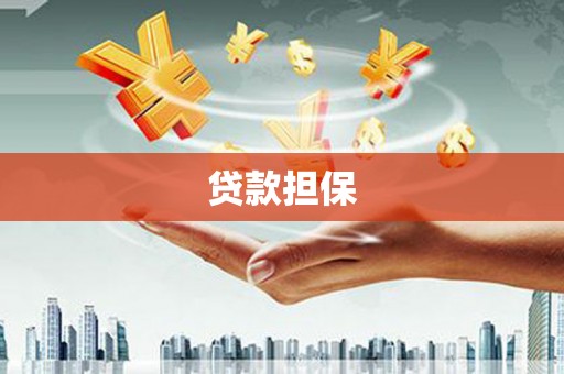 乌恰贷款担保
