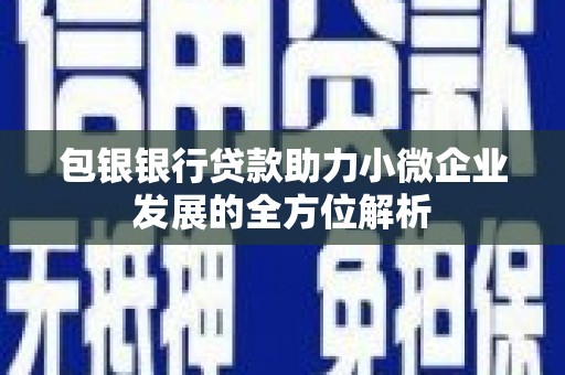 乌恰包银银行贷款助力小微企业发展的全方位解析