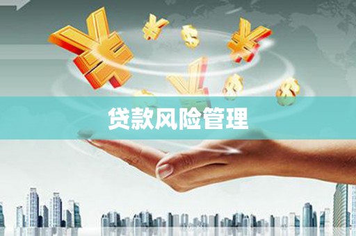 乌恰贷款风险管理
