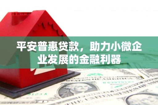乌恰平安普惠贷款，助力小微企业发展的金融利器