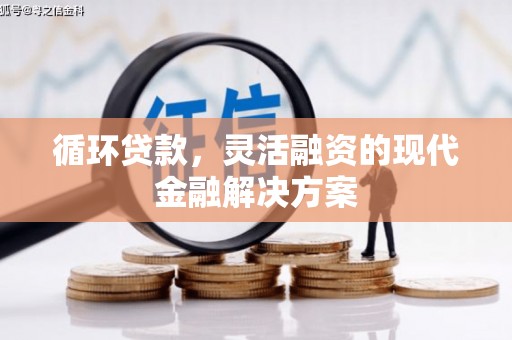乌恰循环贷款，灵活融资的现代金融解决方案