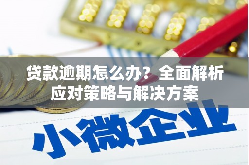 乌恰贷款逾期怎么办？全面解析应对策略与解决方案