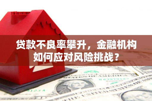 乌恰贷款不良率攀升，金融机构如何应对风险挑战？