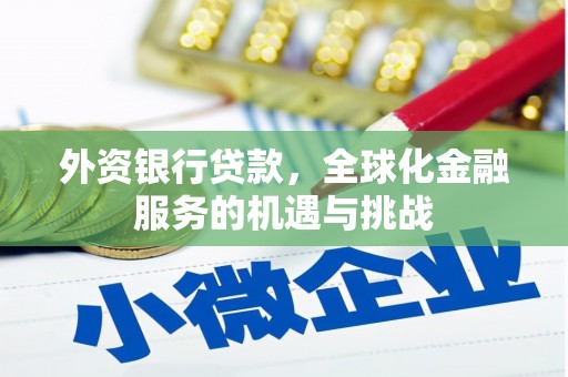 乌恰外资银行贷款，全球化金融服务的机遇与挑战