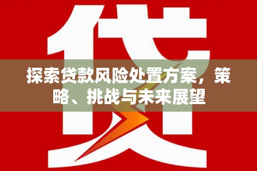 乌恰探索贷款风险处置方案，策略、挑战与未来展望