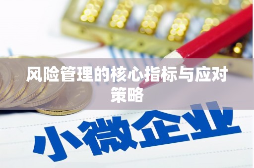 乌恰风险管理的核心指标与应对策略