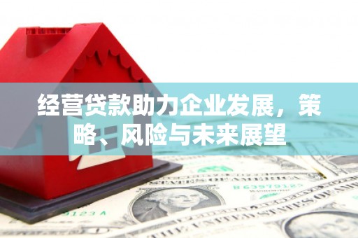 乌恰经营贷款助力企业发展，策略、风险与未来展望