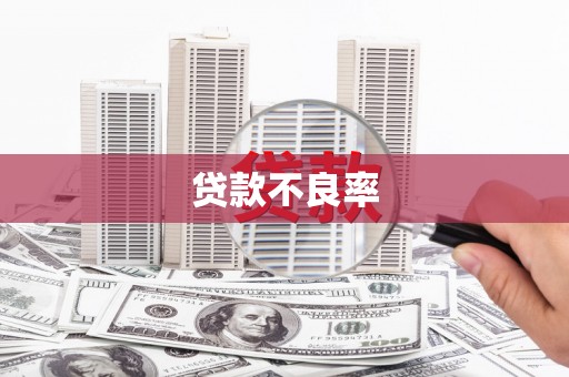 乌恰贷款不良率