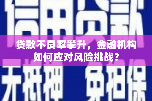 乌恰贷款不良率攀升，金融机构如何应对风险挑战？