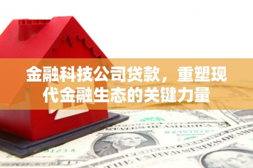 乌恰金融科技公司贷款，重塑现代金融生态的关键力量