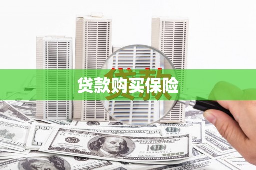 乌恰贷款购买保险