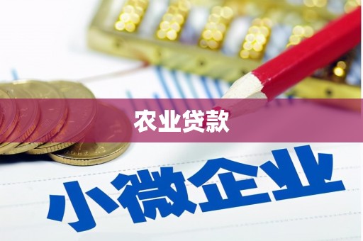 乌恰农业贷款