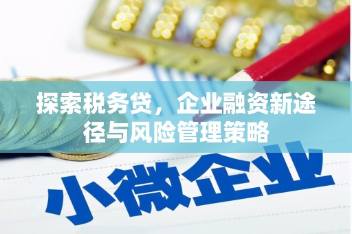乌恰探索税务贷，企业融资新途径与风险管理策略