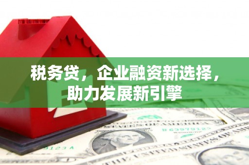 乌恰税务贷，企业融资新选择，助力发展新引擎