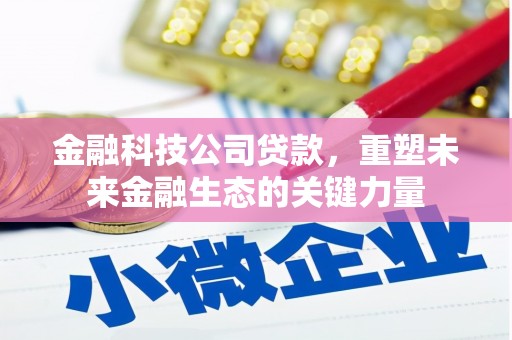 乌恰金融科技公司贷款，重塑未来金融生态的关键力量
