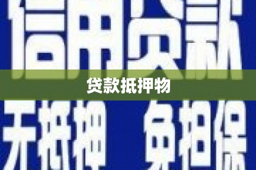 乌恰贷款抵押物