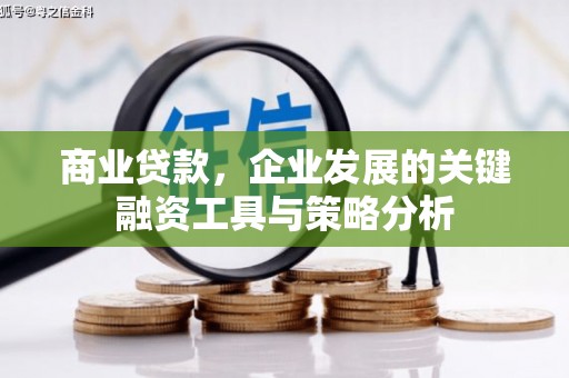 乌恰商业贷款，企业发展的关键融资工具与策略分析