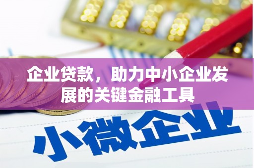 乌恰企业贷款，助力中小企业发展的关键金融工具