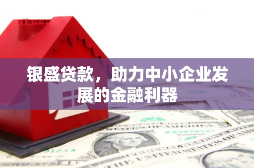 乌恰银盛贷款，助力中小企业发展的金融利器