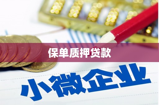 乌恰保单质押贷款