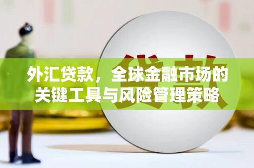 乌恰外汇贷款，全球金融市场的关键工具与风险管理策略