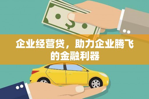 乌恰企业经营贷，助力企业腾飞的金融利器