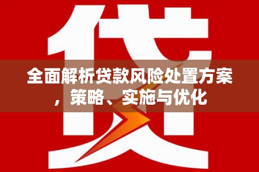 乌恰全面解析贷款风险处置方案，策略、实施与优化