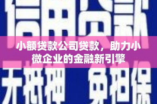 乌恰小额贷款公司贷款，助力小微企业的金融新引擎