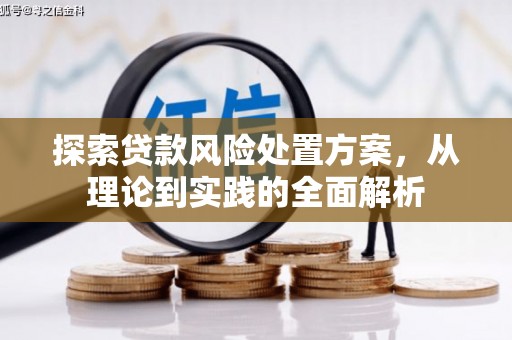 乌恰探索贷款风险处置方案，从理论到实践的全面解析