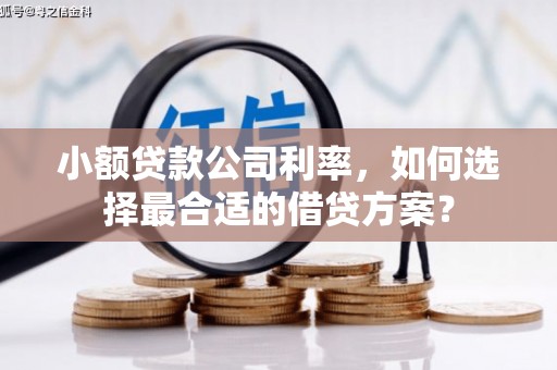 乌恰小额贷款公司利率，如何选择最合适的借贷方案？