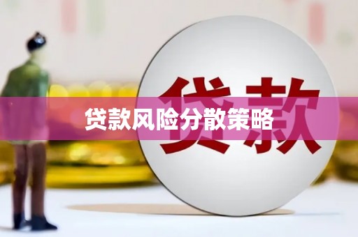 乌恰贷款风险分散策略