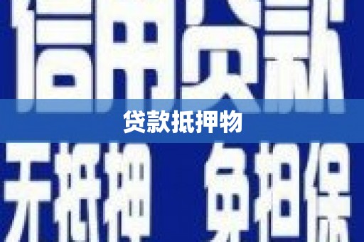 乌恰贷款抵押物